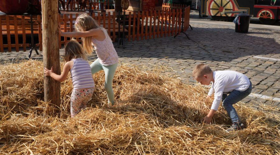 La foire villageoise à Ellezelles